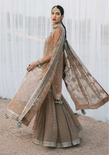 Indian & Pakistani Style Nude Beige Embroidered Net Formal Ensemble with Sharara and Dupatta for Women